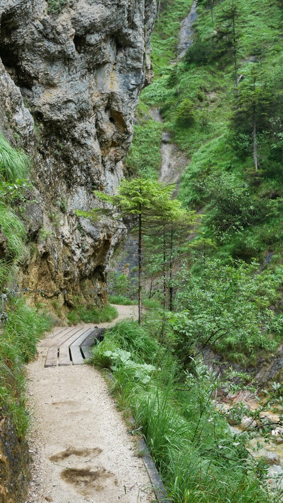 Almbachklamm
