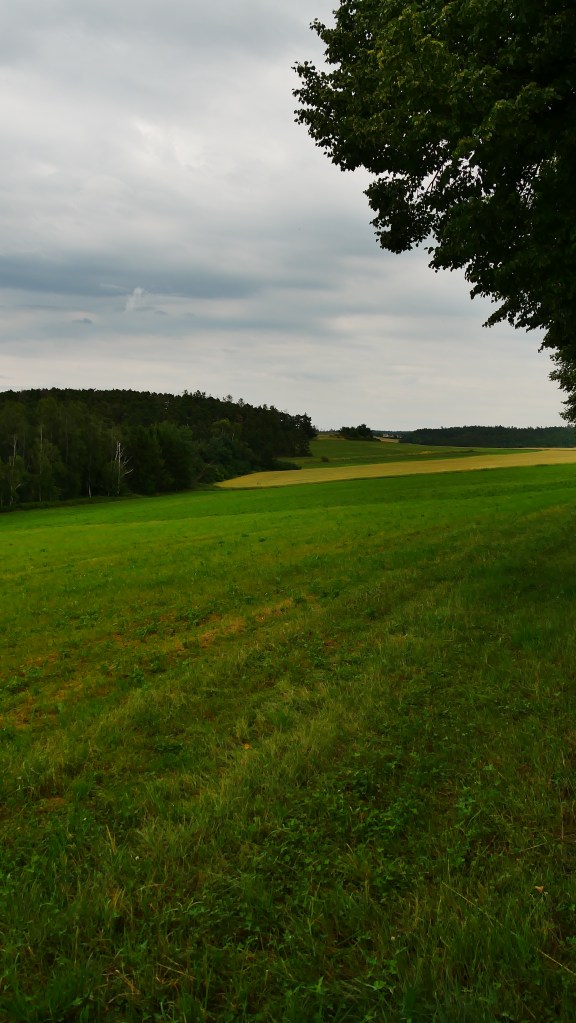 Visnova - widok z domu Evzena Humla