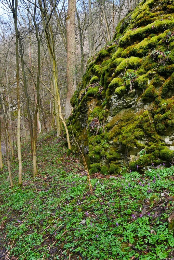 Na szlaku - Czeski Kras