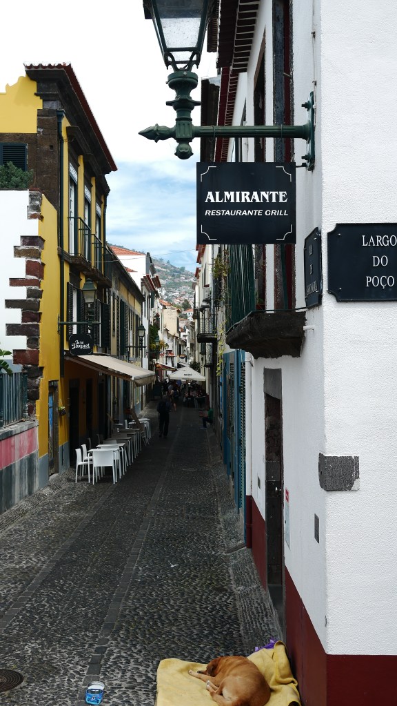 Funchal - centrum miasta.