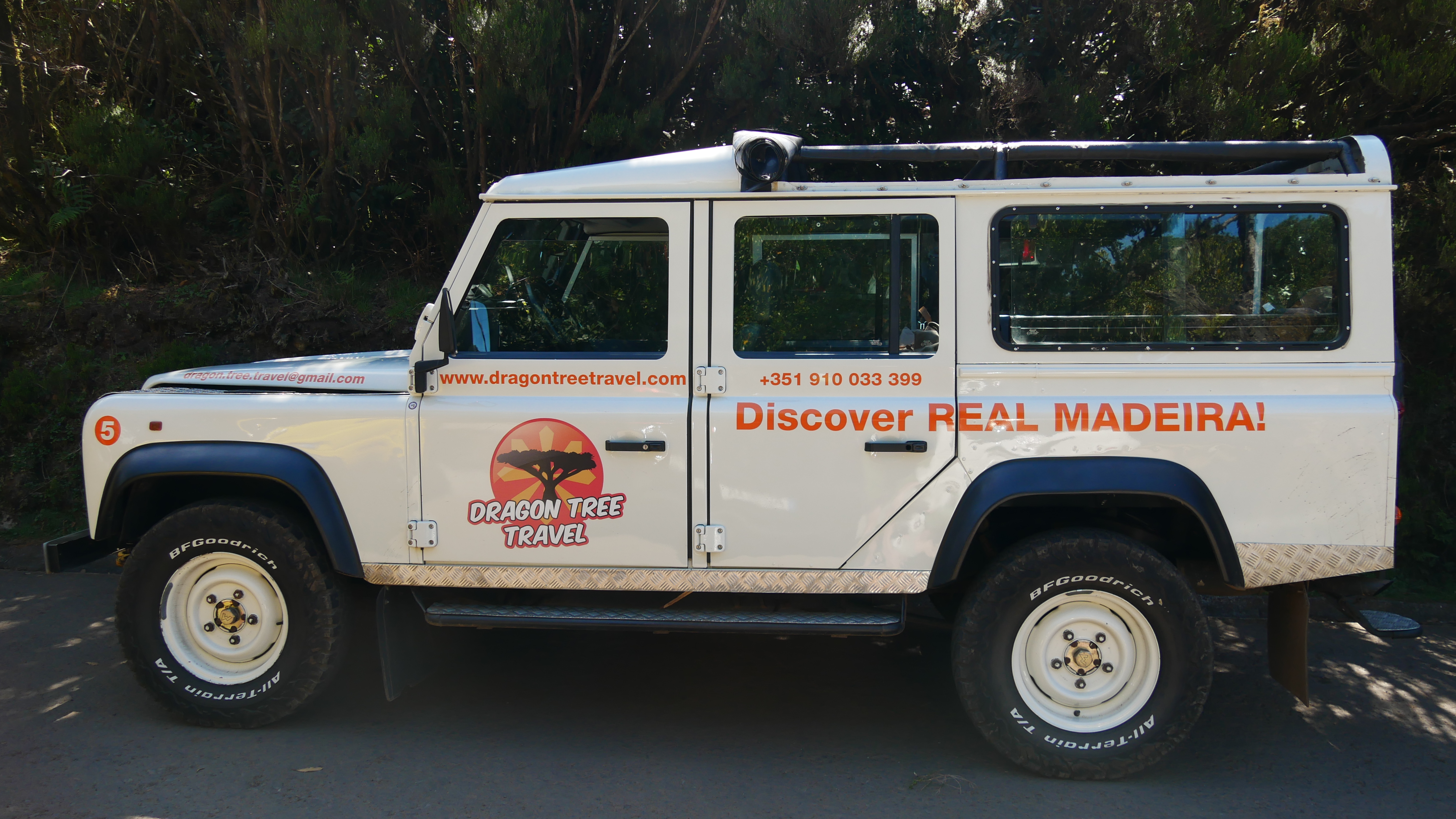 Dragon Tree Travel - środek transportu