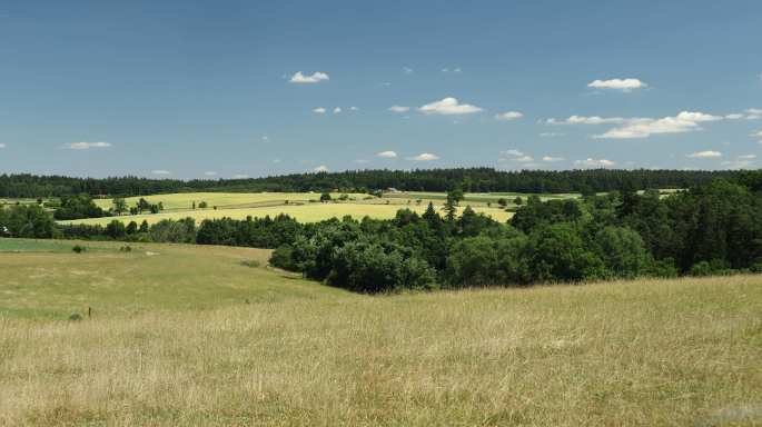 Czechy - okolice Zvikovskiego Podhradi
