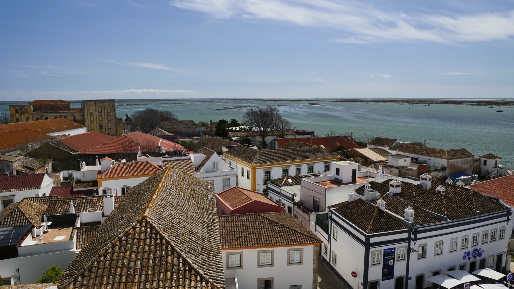 Largo da Se - widok z  wiezy katedry