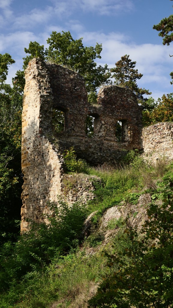 Hrad Żebrak