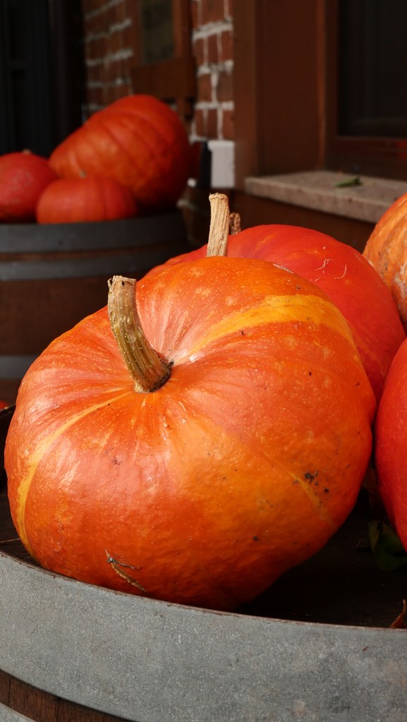 Jesień w Tomaszowie 