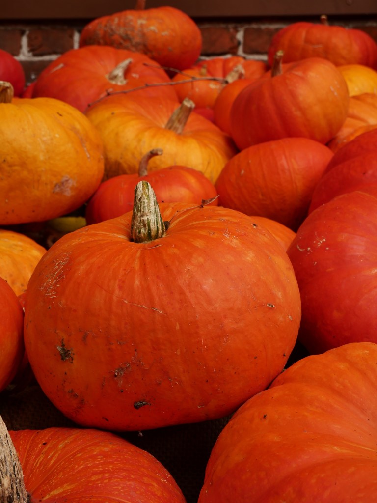 Jesień w Tomaszowie 