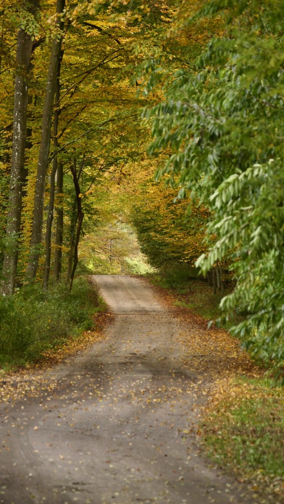 Jesień w Tomaszowie 