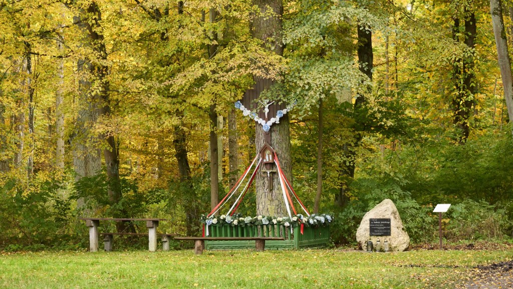 Jesień w Tomaszowie 