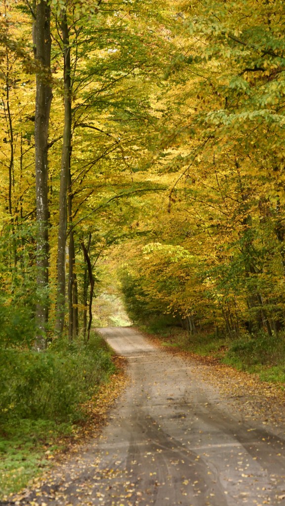 Jesień w Tomaszowie 