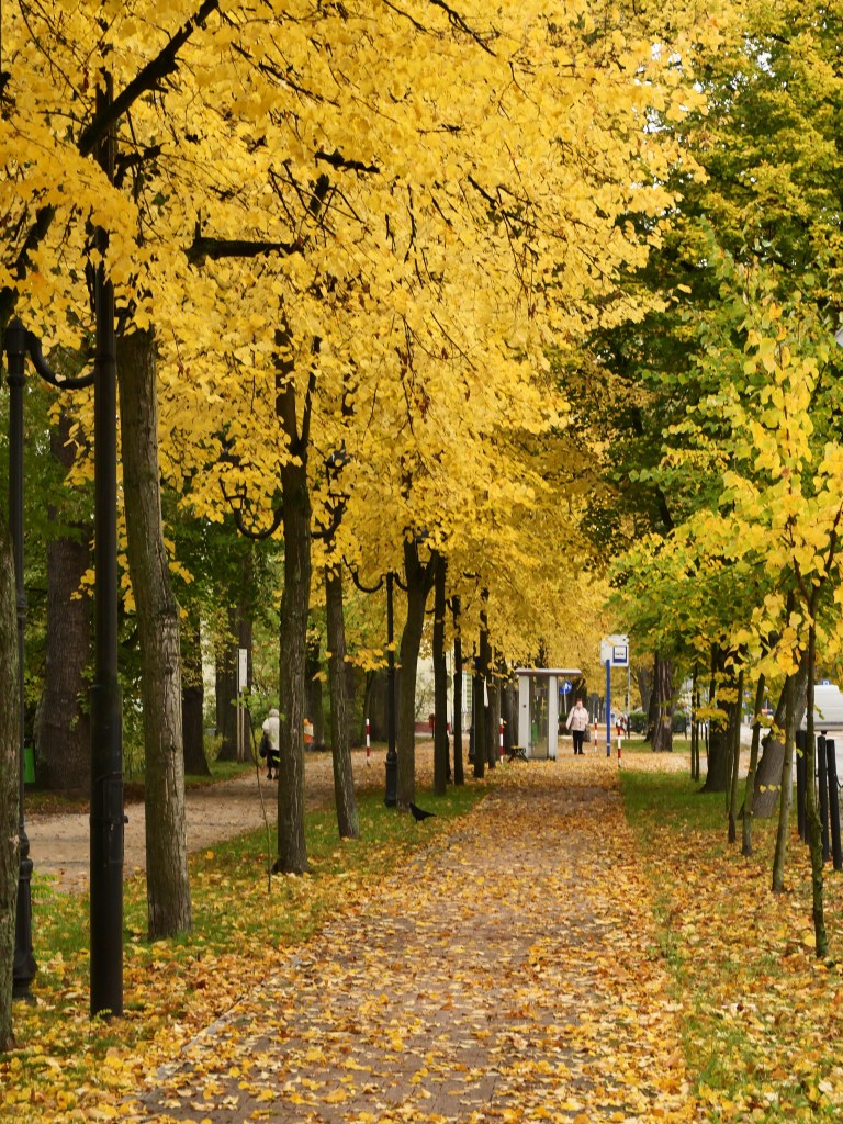 Jesień w Tomaszowie 