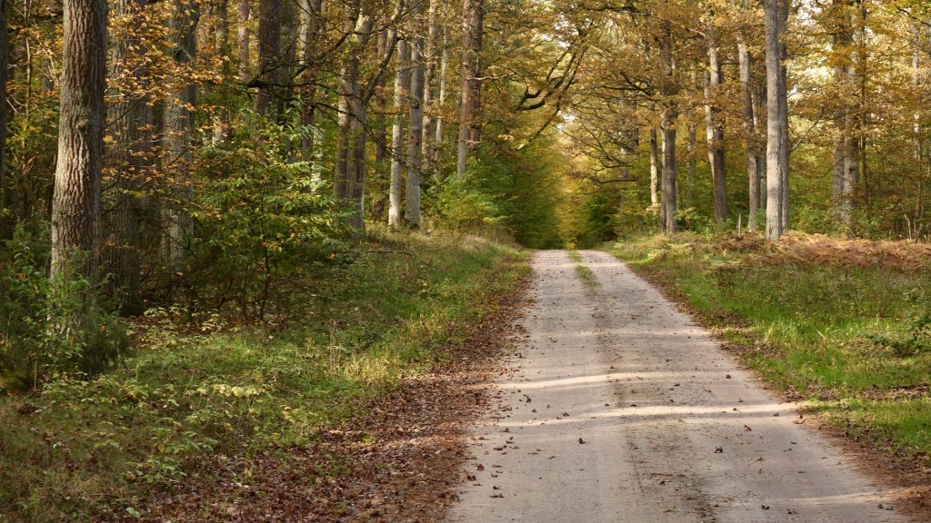 Jesień w Tomaszowie 