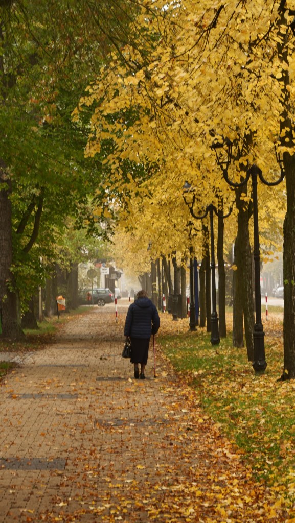 Jesień w Tomaszowie 