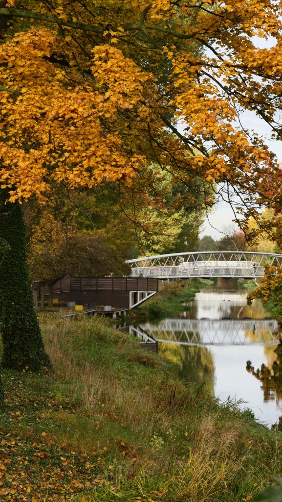 Jesień w Tomaszowie 