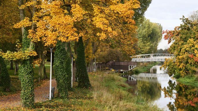 Jesień w Tomaszowie