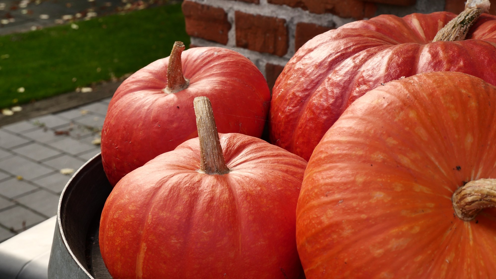 Jesień w Tomaszowie